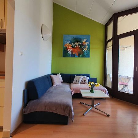 Janja Apartment Novigrad Istria Kültér fotó