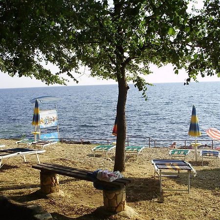Janja Apartment Novigrad Istria Kültér fotó
