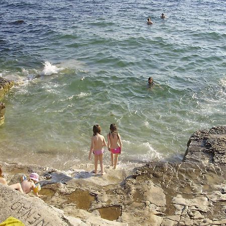 Janja Apartment Novigrad Istria Kültér fotó