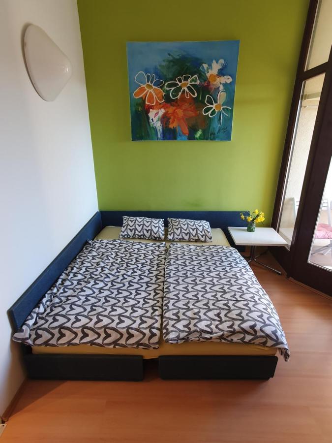 Janja Apartment Novigrad Istria Kültér fotó