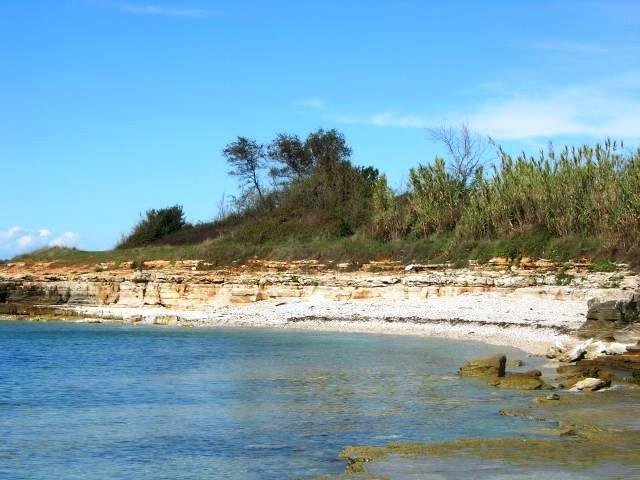 Janja Apartment Novigrad Istria Szoba fotó